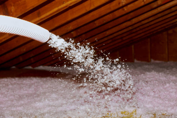 Best Cellulose Insulation  in English, IN