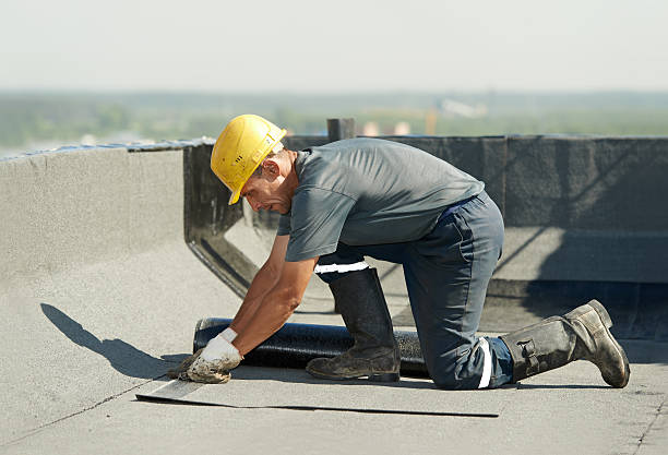 Best Insulation Removal Services  in English, IN